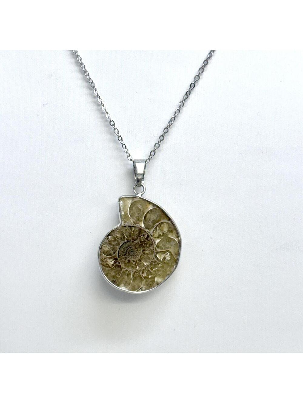 Ammonite Seashell Fossil Pendant Necklace - Picture 3 of 5